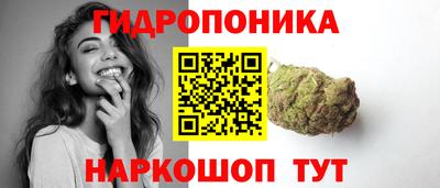 apvp Краснодар