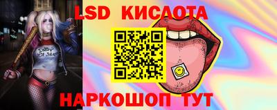 apvp Краснодар