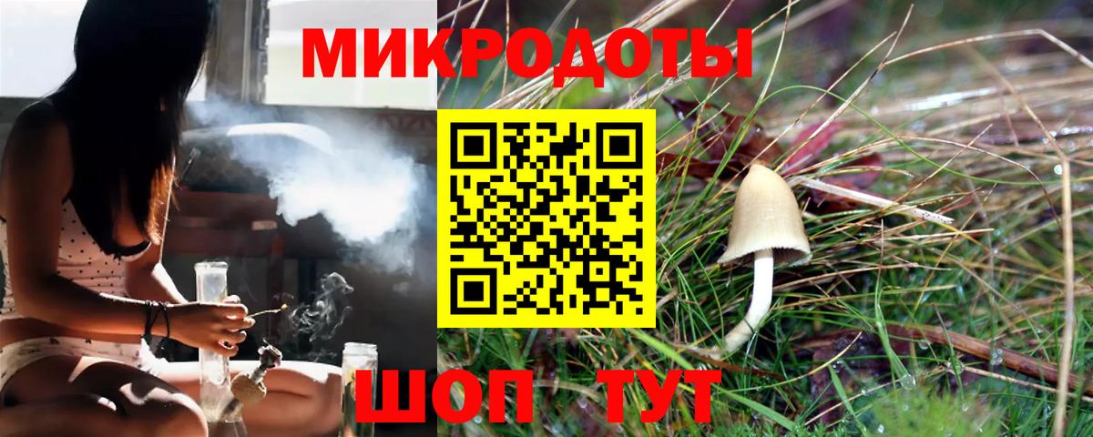 Камень-на-Оби  Галлюциногенные грибы GOLDEN TEACHER  Вход с VPN 