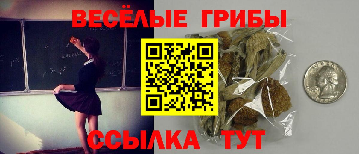 Псилоцибиновые грибы Psilocybine cubensis Камень-на-Оби